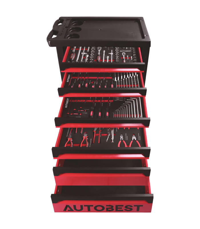 SERVANTE 6 TIROIRS EQUIPEE 170 OUTILS