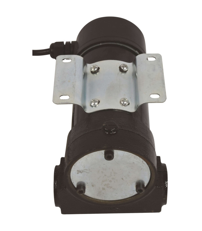 POMPE A FUEL/GASOIL AUTO-AMORCANTE 12V 175W