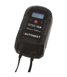 CHARGEUR 12V-12A / 24V-6A