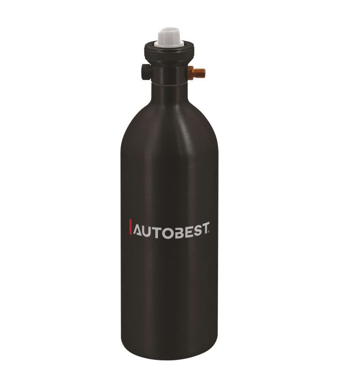 PULVERISATEUR PNEUMATIQUE 560 ML