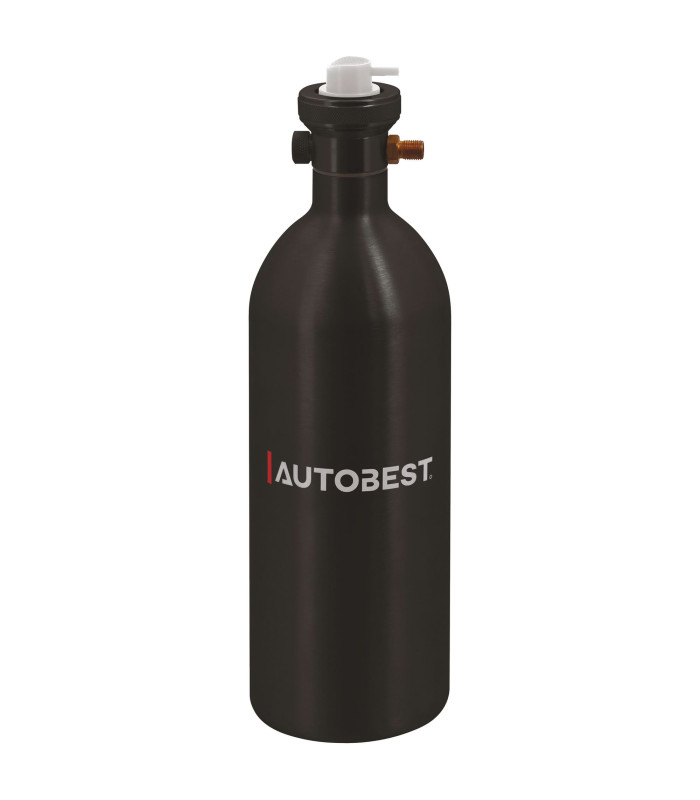 PULVERISATEUR PNEUMATIQUE 560 ML